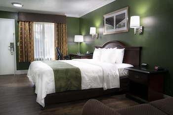 Standard Room, 1 King Bed, Smoking