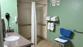 Accessible Room, 1 King Bed, Roll-In Shower, Non Smoking