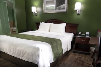 Accessible Room, 1 King Bed, Roll-In Shower, Non Smoking