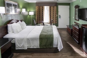 Accessible Room, 1 King Bed, Roll-In Shower, Non Smoking