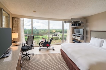 Room, 1 King Bed (Fitness Room W/Trx - Chin Up Bar)