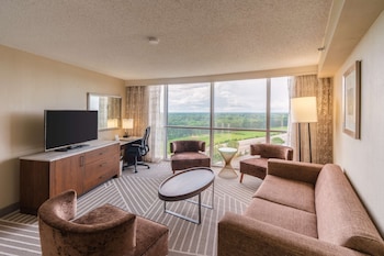 Suite, 1 King Bed, Accessible, Bathtub