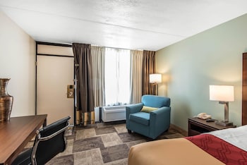 Standard Room, 1 King Bed, Non Smoking