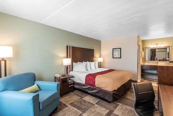 Room, 1 King Bed, Accessible, Non Smoking
