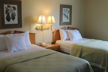 Studio Suite, 2 Double Beds, Non Smoking