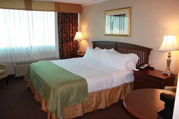 Room, 1 King Bed, Non Smoking
