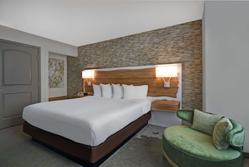 Room, 1 King Bed, Accessible
