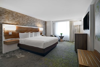 Room, 1 King Bed, City View (NYC Skyline)