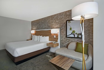 Room, 1 King Bed, Accessible (Roll-in Shower)