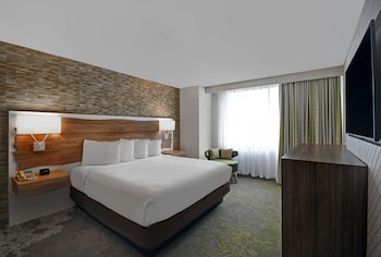 Room, 1 King Bed, Accessible (Roll-in Shower)