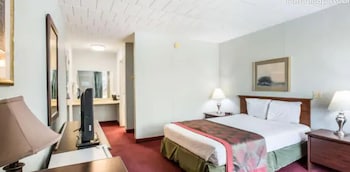 Standard Room, 1 King Bed (King Non Smoking Room)