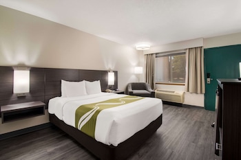 Room, 1 Queen Bed, Non Smoking