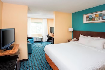 Deluxe Studio, 1 King Bed with Sofa bed, Hearing Accessible (Accessible Bathtub)