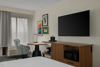 Room, 1 King Bed, Accessible, Non Smoking