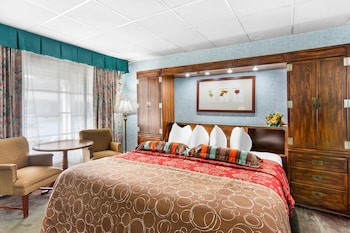 Room, 1 King Bed, Non Smoking