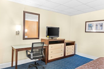 Room, 1 King Bed with Sofa bed, Accessible, Non Smoking