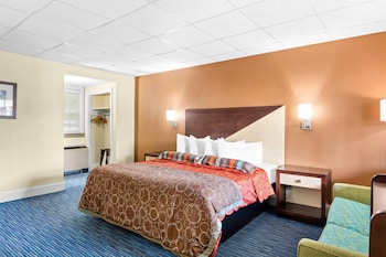 Room, 1 King Bed with Sofa bed, Accessible, Non Smoking