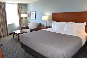 Standard Room, 1 King Bed, Non Smoking