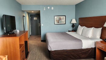 Standard Room, 1 King Bed, Non Smoking