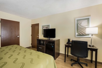 Standard Room, 1 King Bed with Sofa bed, Non Smoking (2 Person Sofa bed, Shower Only)