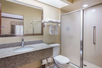 Standard Room, 1 King Bed with Sofa bed, Non Smoking (2 Person Sofa bed, Shower Only)