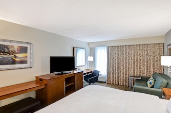 Room, 1 King Bed, Non Smoking (Study)