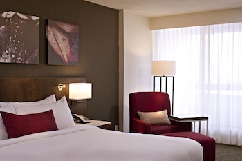 Club Room, 1 King Bed