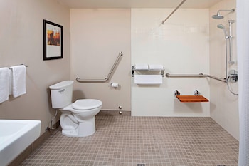 Room, 1 King Bed