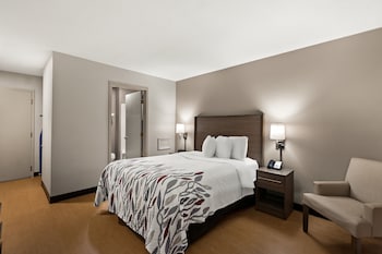 Deluxe Room, 1 Queen Bed with Sofa bed (Smoke Free)