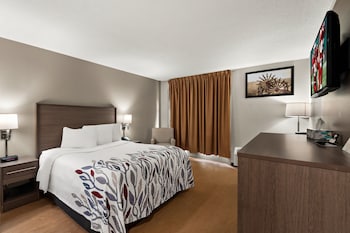 Deluxe Room, 1 Queen Bed with Sofa bed (Smoke Free)