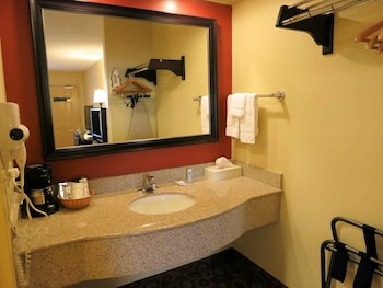 Room, Accessible, Non Smoking (Mobility, Roll-In Shower)