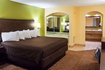 Room, Accessible, Non Smoking (Mobility, Roll-In Shower)