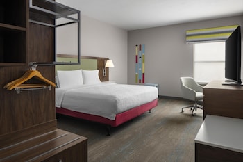Room, 1 King Bed, Accessible (Roll-in Shower)