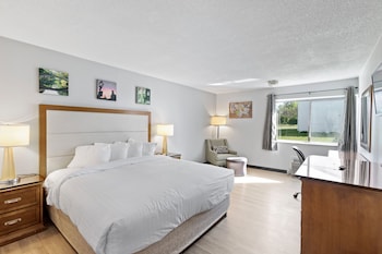 Room, 1 King Bed, Non Smoking