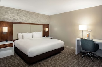 Room, 1 King Bed, Non Smoking (Larger Room)