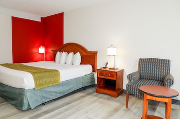 Room, 1 Double Bed, Non Smoking