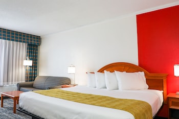 Suite, 1 King Bed, Non Smoking (One-Bedroom)