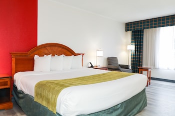 Room, 1 King Bed, Accessible, Non Smoking
