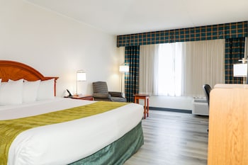Room, 1 King Bed, Accessible, Non Smoking