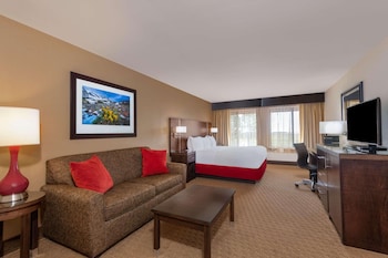Room, 1 King Bed, Non Smoking