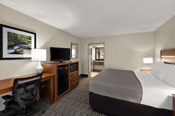 Room, 1 King Bed, Accessible, Non Smoking