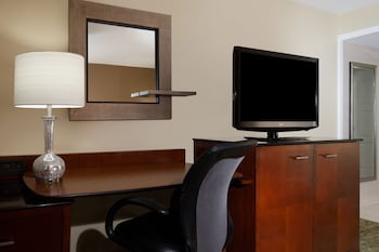 Traditional Room, 1 King Bed (Mobility/Hearing Access, Roll-in Shwr)