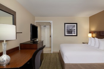Traditional Room, 1 King Bed (Mobility/Hearing Access, Roll-in Shwr)