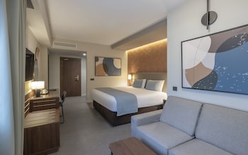 Deluxe Superior King with Terrace