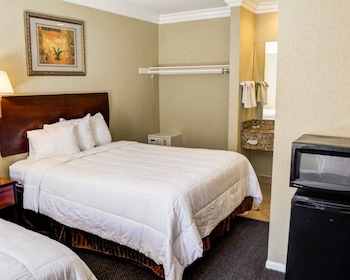 Room, Multiple Beds, Accessible, Non Smoking