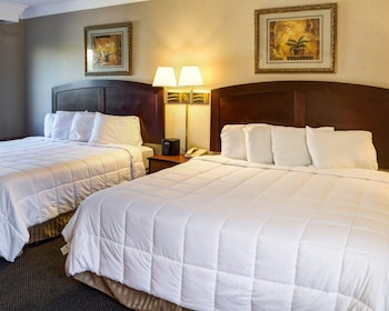 Room, Multiple Beds, Non Smoking