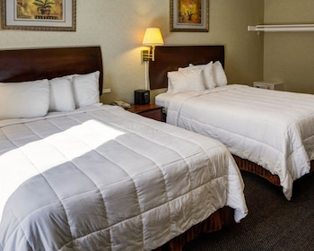 Room, Multiple Beds, Accessible, Non Smoking