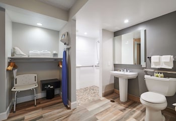Room, 1 King Bed, Accessible, Non Smoking (Roll-in Shower)