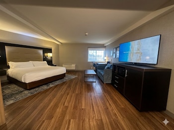 Suite, 1 King Bed with Sofa bed