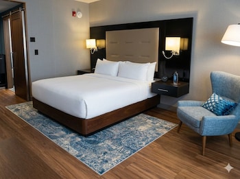 Standard Room, 1 King Bed (Mobility Accessible, Roll-In Shower)